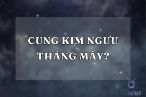 Giải mã: Taurus – Cung Kim Ngưu tháng mấy chính xác nhất