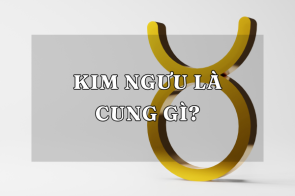 Giải mã bí ẩn 12 cung hoàng đạo: Cung Kim Ngưu là cung gì?