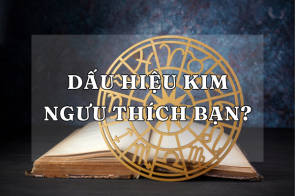 Nhận biết tất cả các dấu hiệu Kim Ngưu thích bạn cực dễ dàng