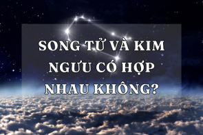 Cặp đôi khó nhằn Song Tử và Kim Ngưu có hợp nhau không?